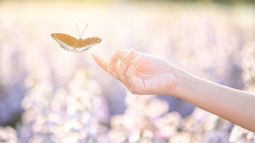 Surely come closer to enlightenment, while realizing your progress.